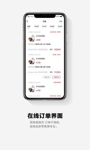 面包pay