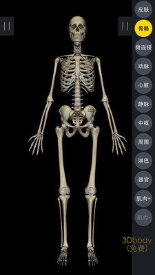 3DBody解剖