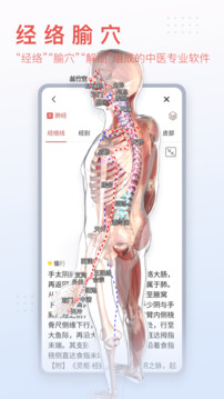 3Dbody解剖免费版