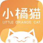 小橘猫婚礼课堂