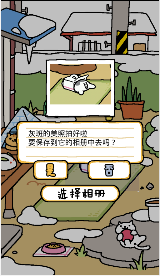 猫咪后院